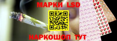 дмт Нальчик