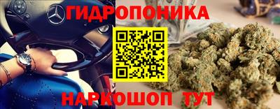 2c-b Новодвинск