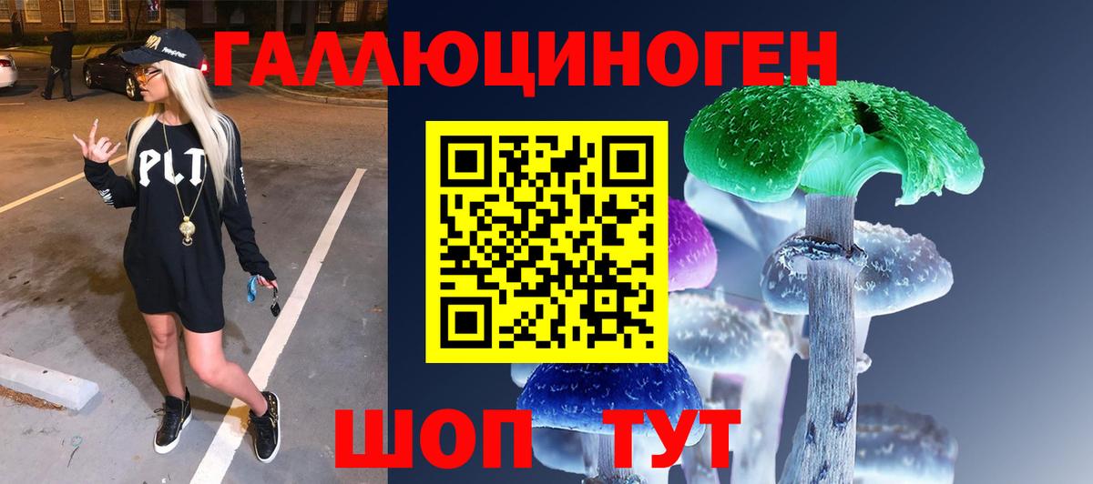 Урюпинск  Псилоцибиновые грибы Magic Shrooms  Псилоцибиновые грибы ЛСД  купить наркотик  Вход с VPN 